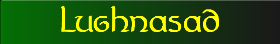 wp1cd72b67.png